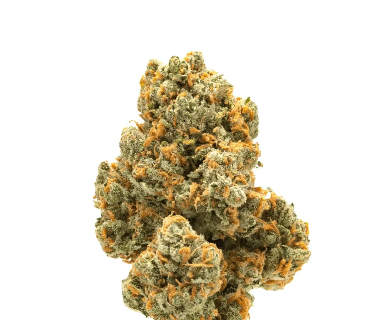 Tilray Craft Cannabisblüten THC25 CCC - Cherry Cheesecake