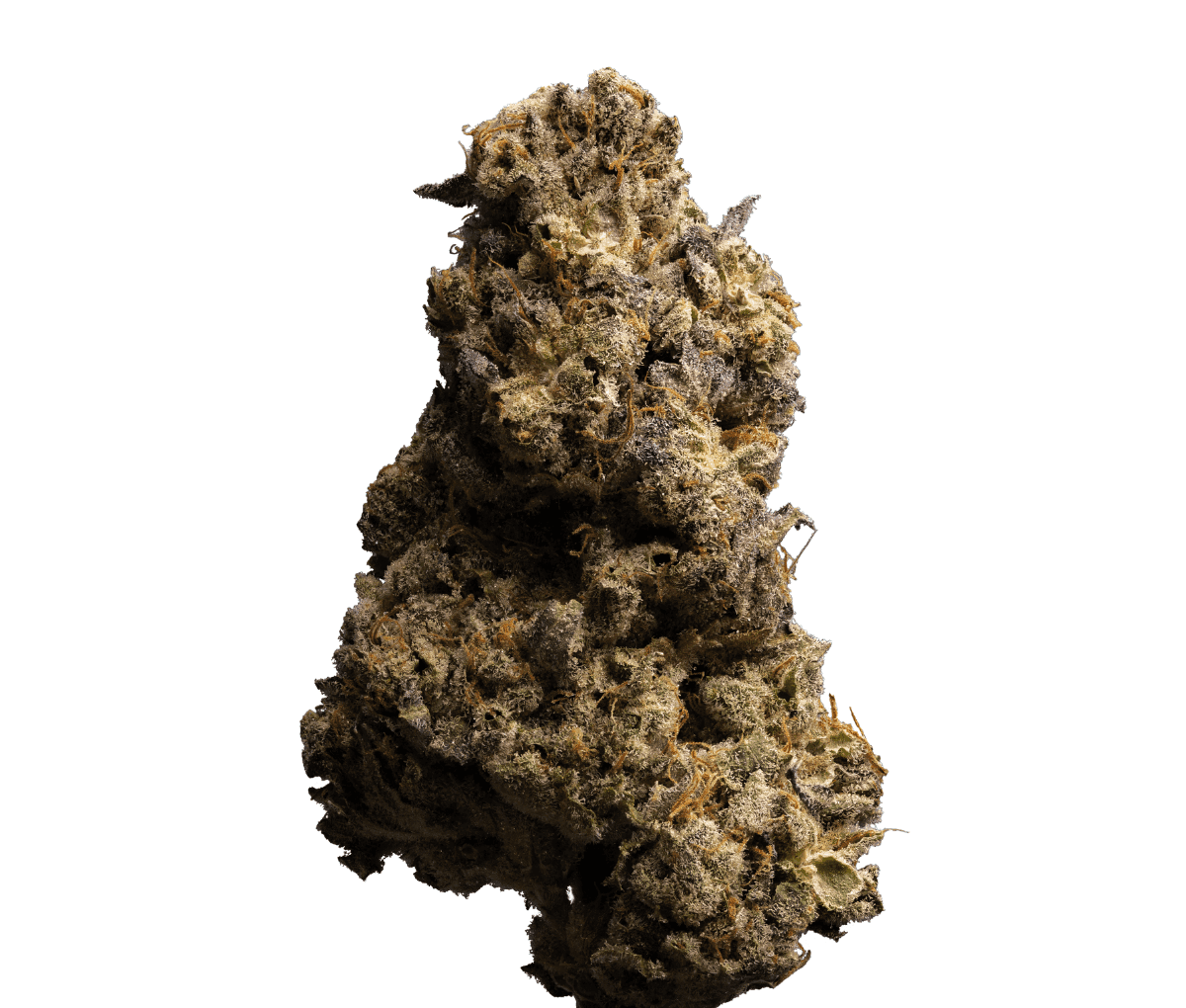 enua 30/1 STP CA - Strawberry Pavé enua 30/1 STP CA - Strawberry Pavé