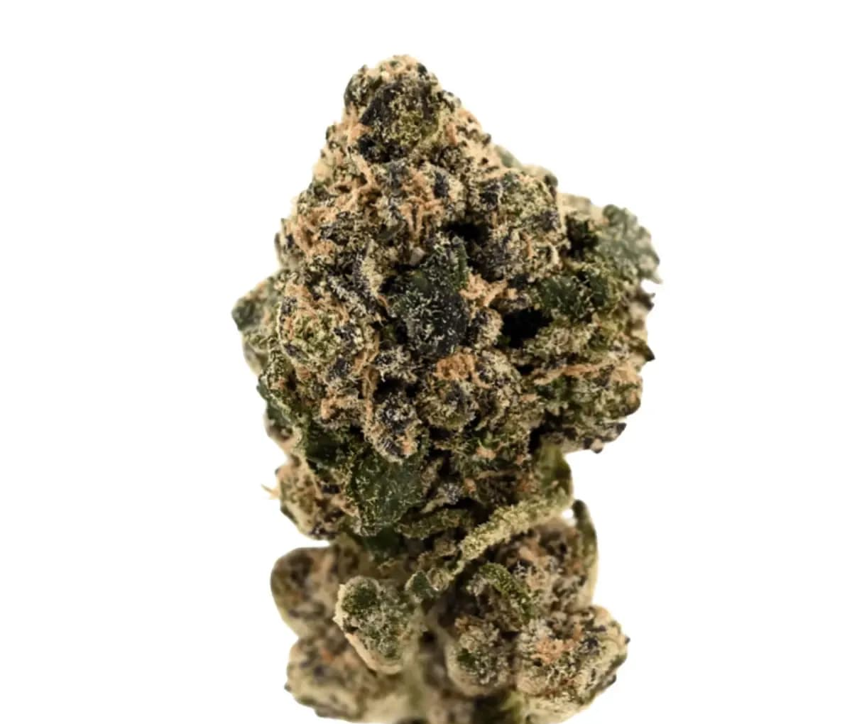 Tilray Craft THC20 SNS - Sunset Sherbet