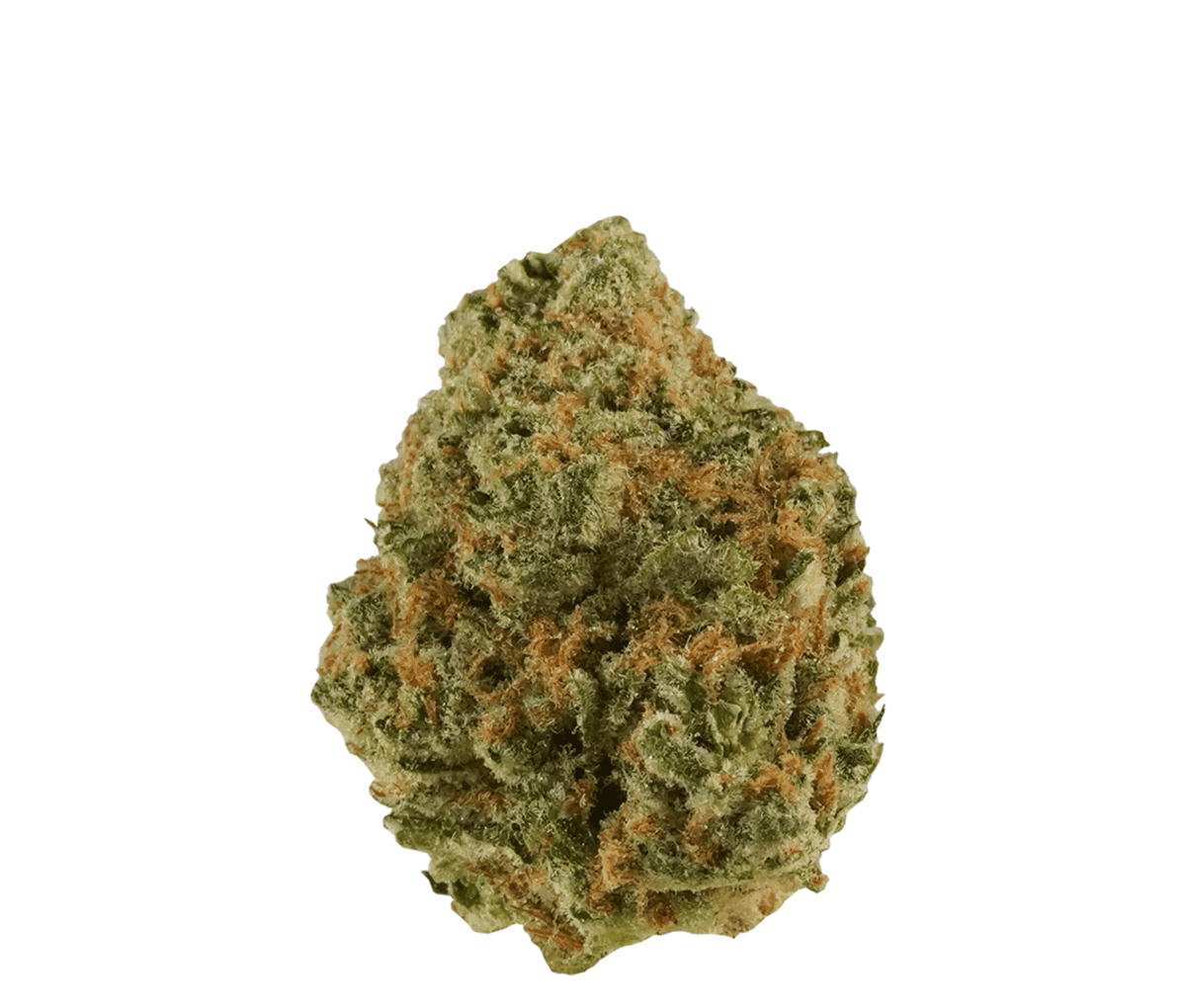 Tilray THC22 Spotlight Porto - Frosted Cherry Cookies