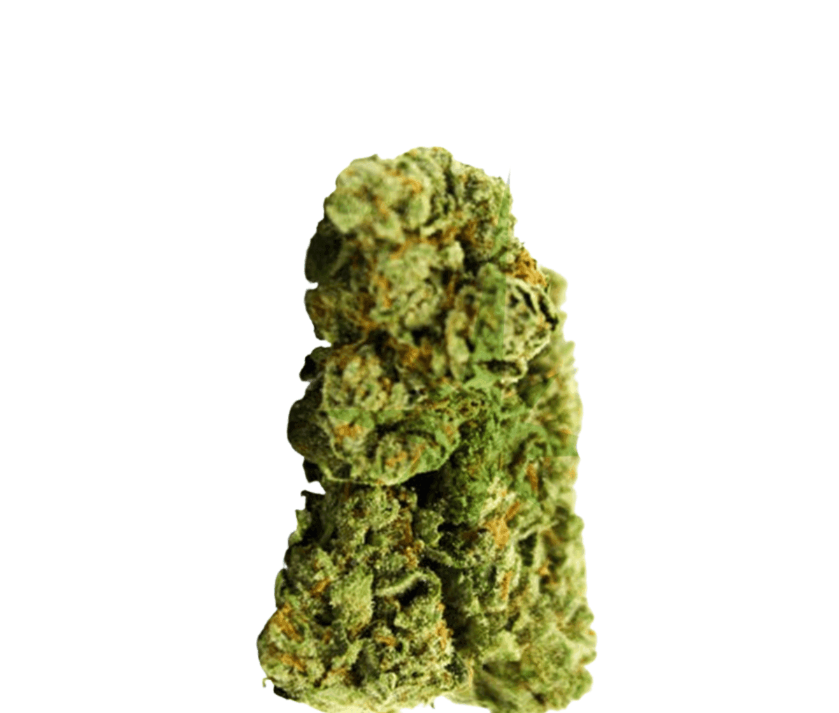 DMC Strong Drop - Holy Roller DMC Strong Drop - Holy Roller