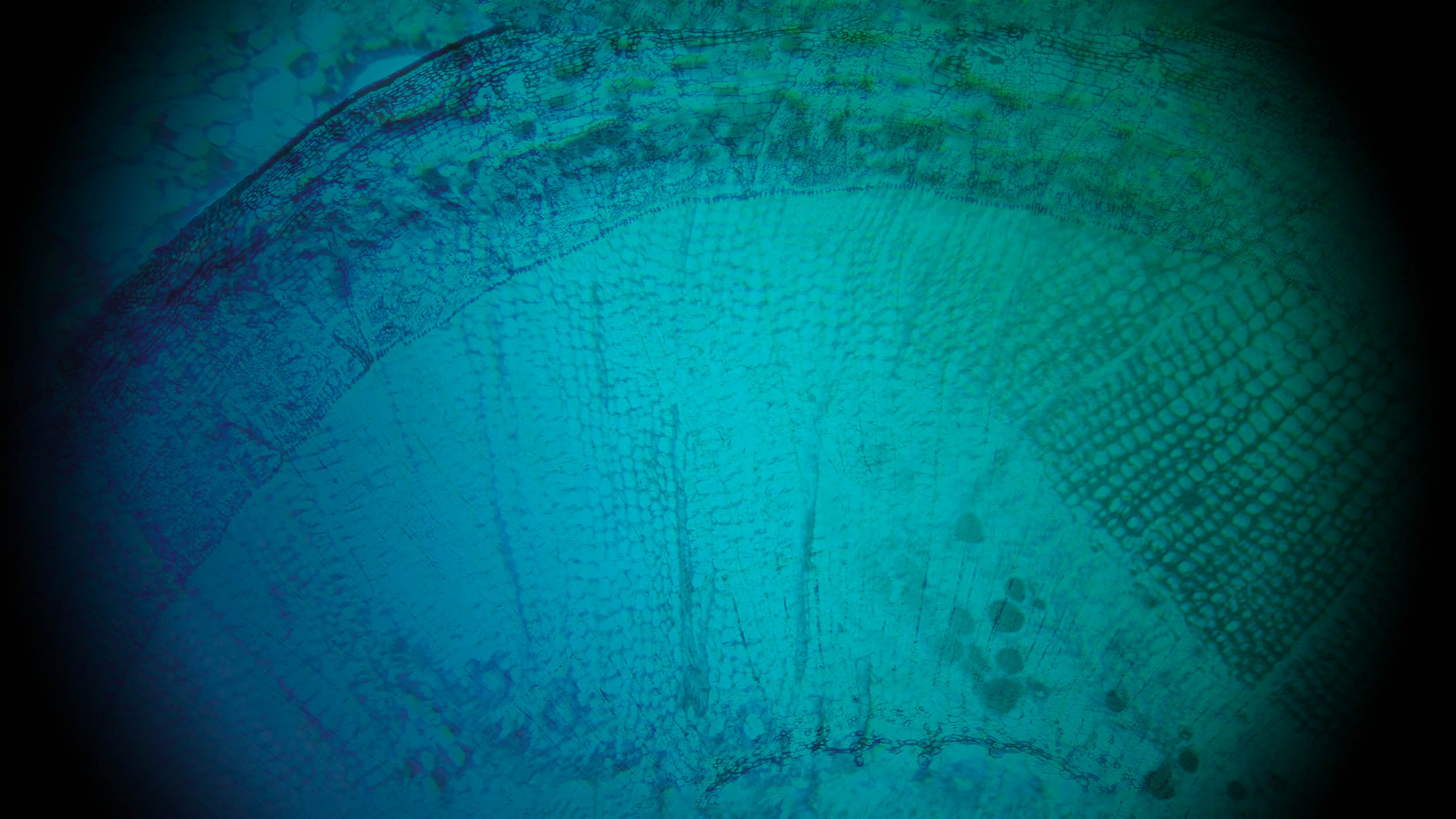 Hintergrundbild der Startseite